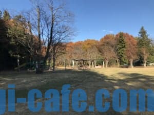 中岡本緑公園の遊具方面